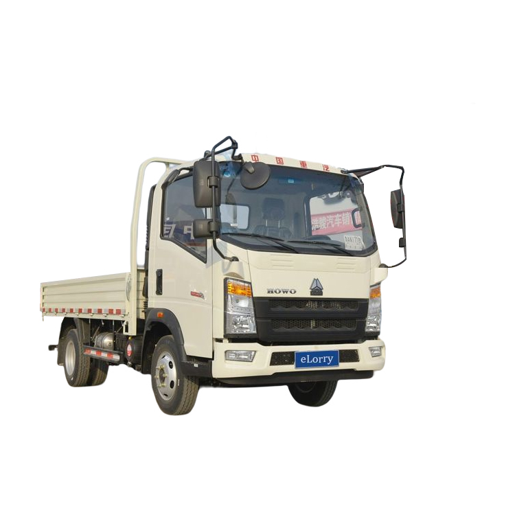 HOWO LIGHT CARGO TRUCK